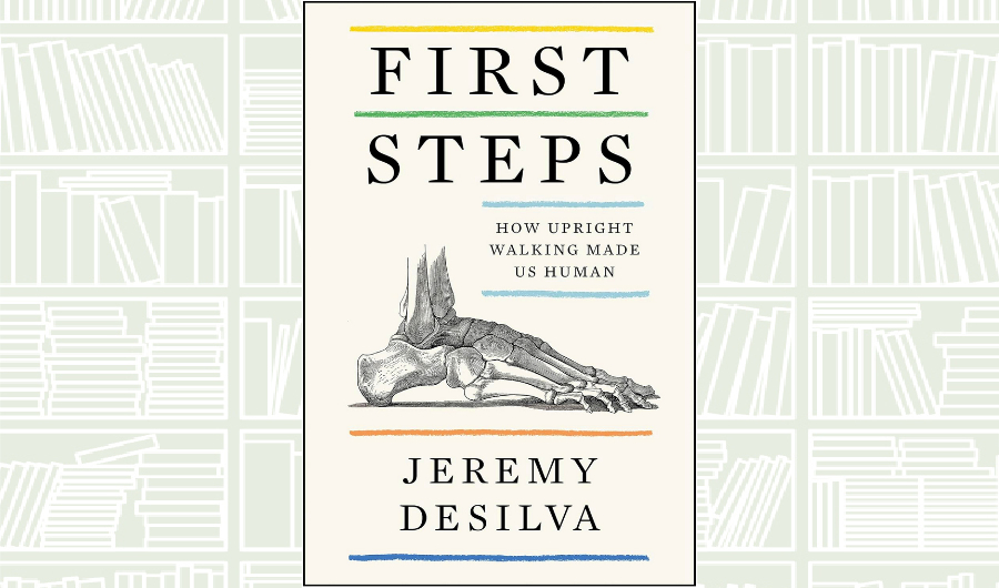 What We Are Reading Today: First Steps by Jeremy DeSilva