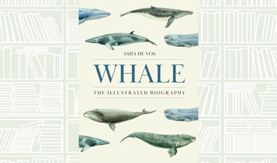 What We Are Reading Today: ‘Whale: The Illustrated Biography’ by Asha De Vos