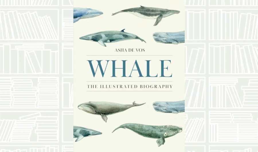 What We Are Reading Today: ‘Whale: The Illustrated Biography’ by Asha De Vos