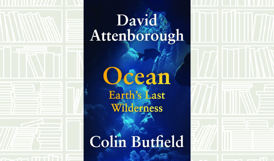 What We Are Reading Today: Ocean