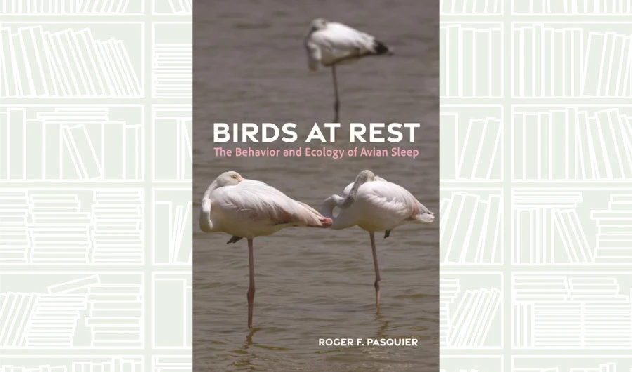 What We Are Reading Today: ‘Birds at Rest’ by Roger Pasquier