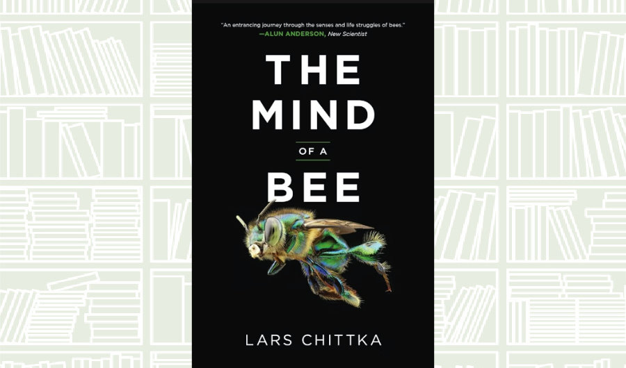 What We Are Reading Today: ‘The Mind of a Bee’ by Lars Chittka