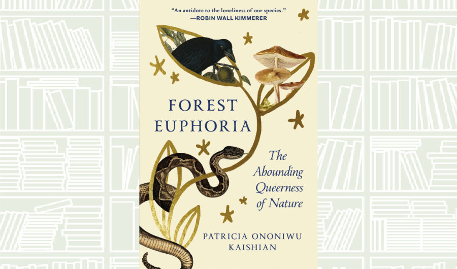 What We Are Reading Today: Forest Euphoria by Patricia Ononiwu Kaishian