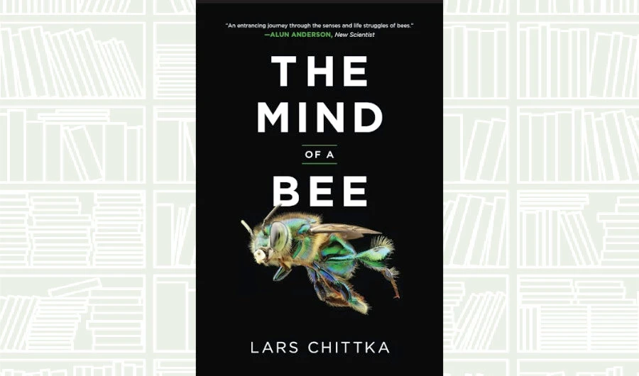 What We Are Reading Today: ‘The Mind of a Bee’ by Lars Chittka