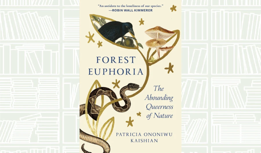 What We Are Reading Today: Forest Euphoria by Patricia Ononiwu Kaishian