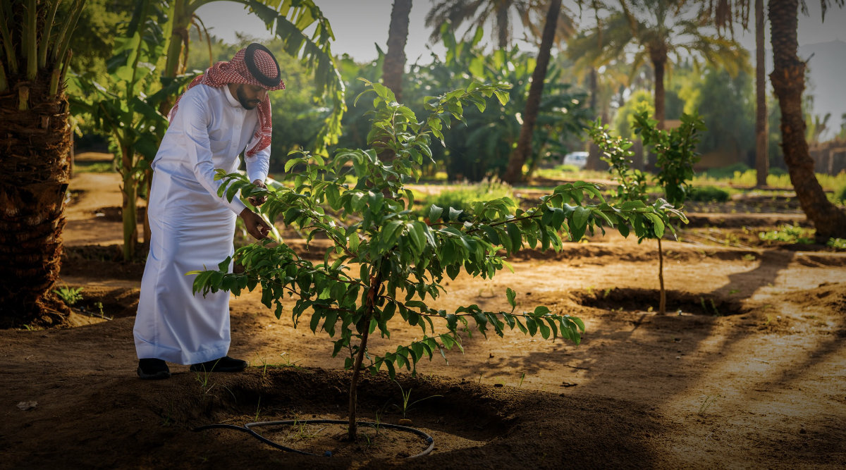 Saudi Arabia’s environmental transformation is still unfolding, but the trajectory is clear. (Saudi Green Initiative photo)