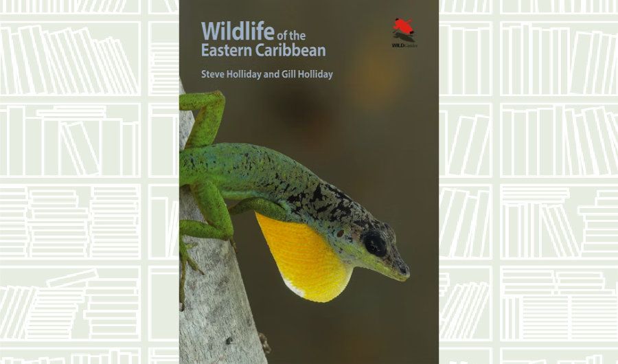 What We Are Reading Today: ‘Wildlife of the Eastern Caribbean’
