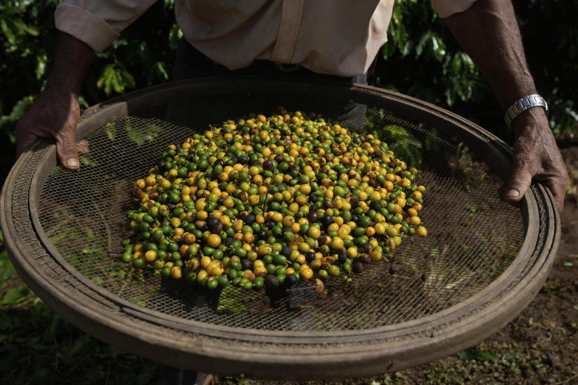 Experts warn the tariff will hit small producers hardest, as they lack resources to adapt quickly or find new markets for their crops. (AP)