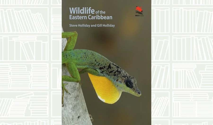 What We Are Reading Today: ‘Wildlife of the Eastern Caribbean’