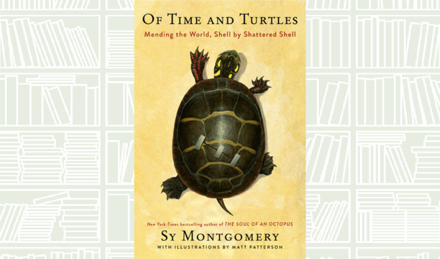 What We Are Reading Today: Of Time and Turtles by Sy Montgomery