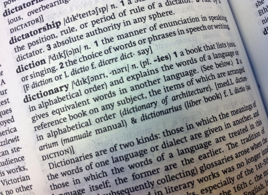There were more than 6,000 additions this year to the Cambridge Dictionary, including ‘skibidi’, ‘tradwife’ and ‘delulu’. (AP)