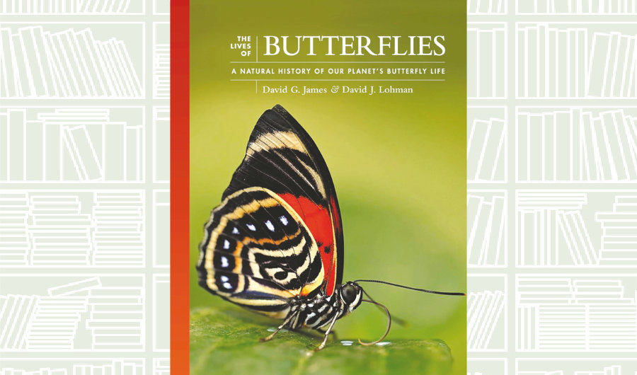 What We Are Reading Today: The Lives of Butterflies