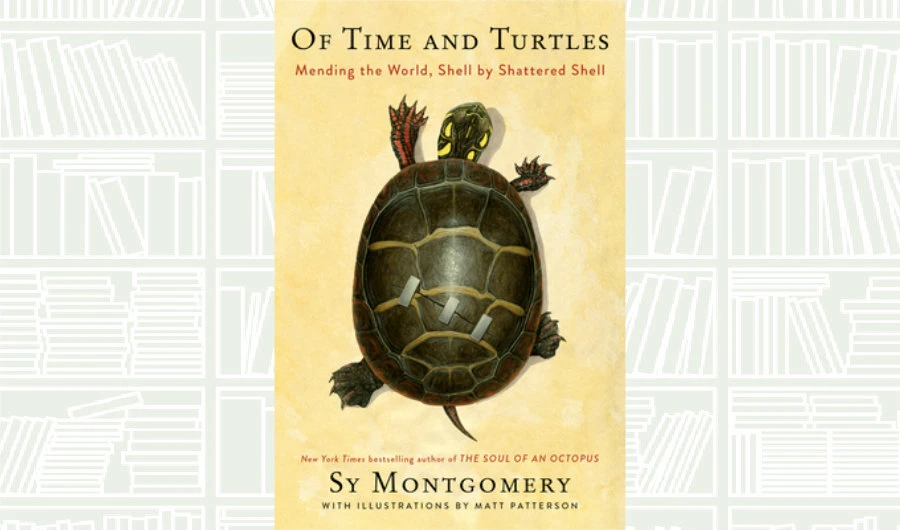 What We Are Reading Today: Of Time and Turtles by Sy Montgomery