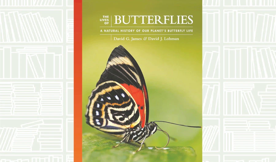 What We Are Reading Today: The Lives of Butterflies