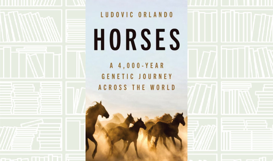 What We Are Reading Today: ‘Horses’ by Ludovic Orlando