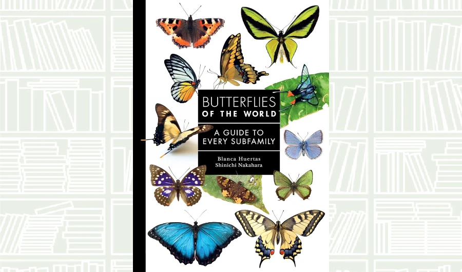 What We Are Reading Today: ‘Butterflies of the World’