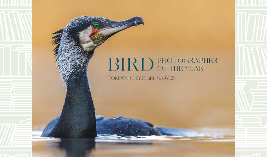 What We Are Reading Today: ‘Bird Photographer of the Year’