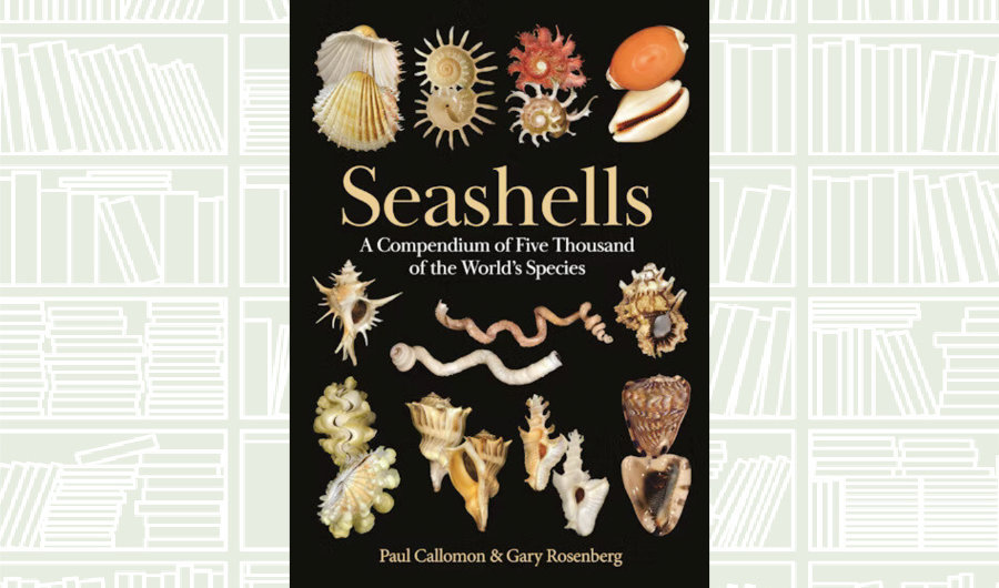 What We Are Reading Today: ‘Seashells’