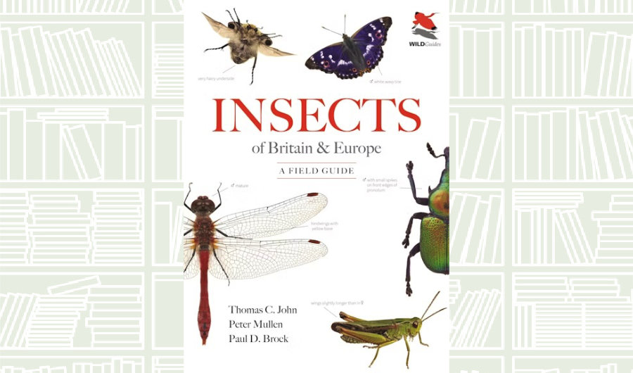 What We Are Reading Today: ‘Insects of Britain and Europe’