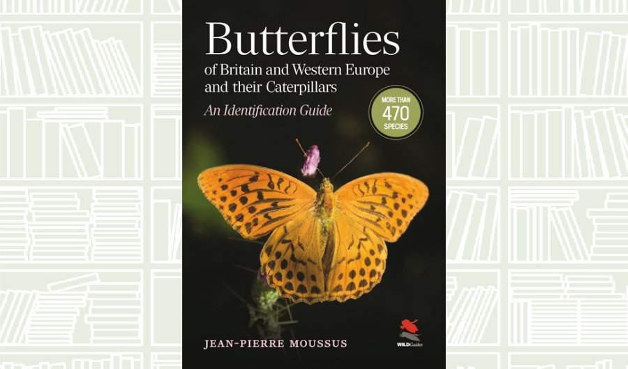 What We Are Reading Today: ‘Butterflies of Britain and Western Europe and Their Caterpillars’