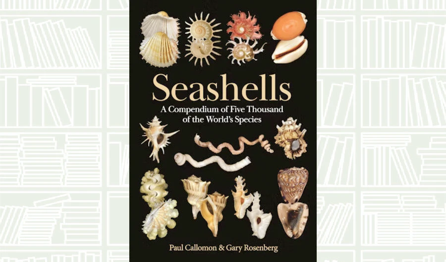 What We Are Reading Today: ‘Seashells’