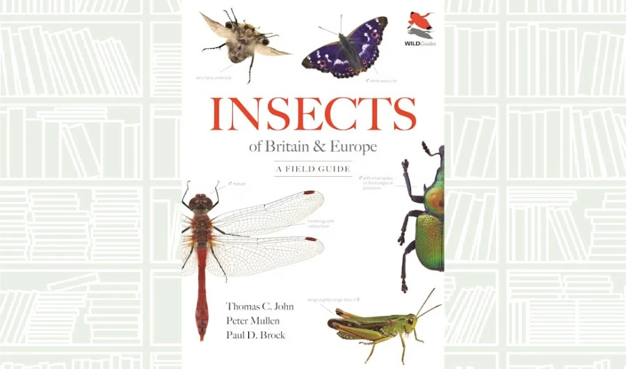 What We Are Reading Today: ‘Insects of Britain and Europe’