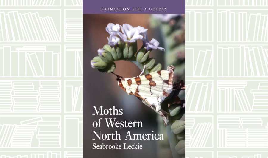 What We Are Reading Today: ‘Moths of Western North America’ by Seabrooke Leckie