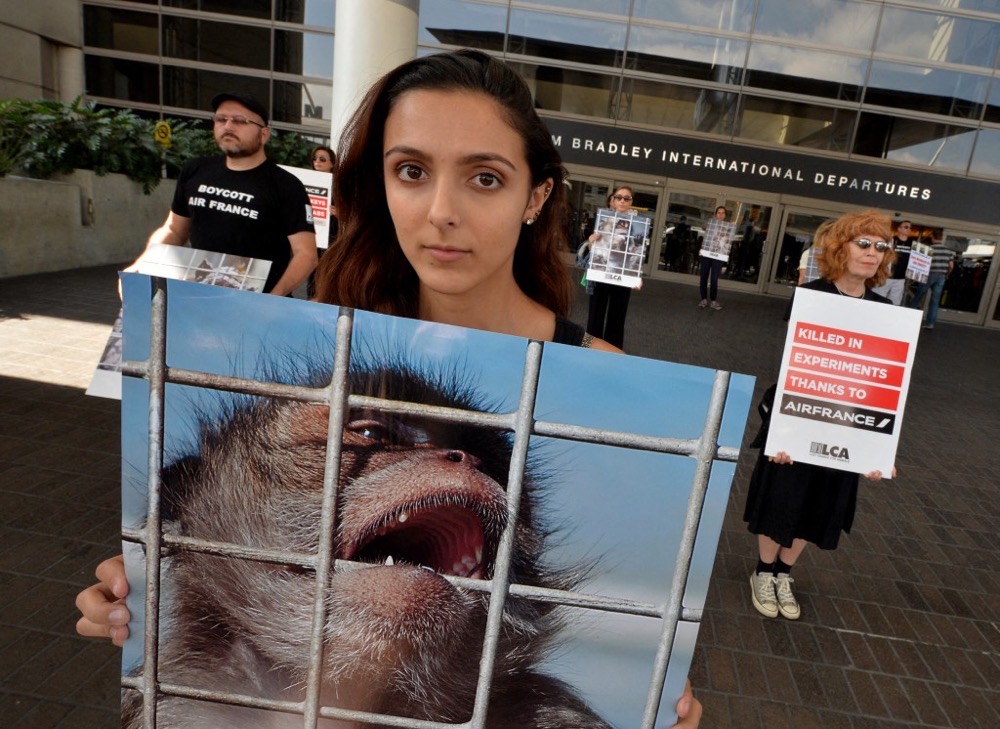 The move was welcomed by animal-advocacy groups. (AFP/File)