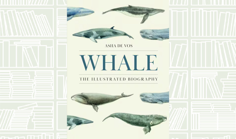 What We Are Reading Today: ‘Whale’ by Asha De Vos