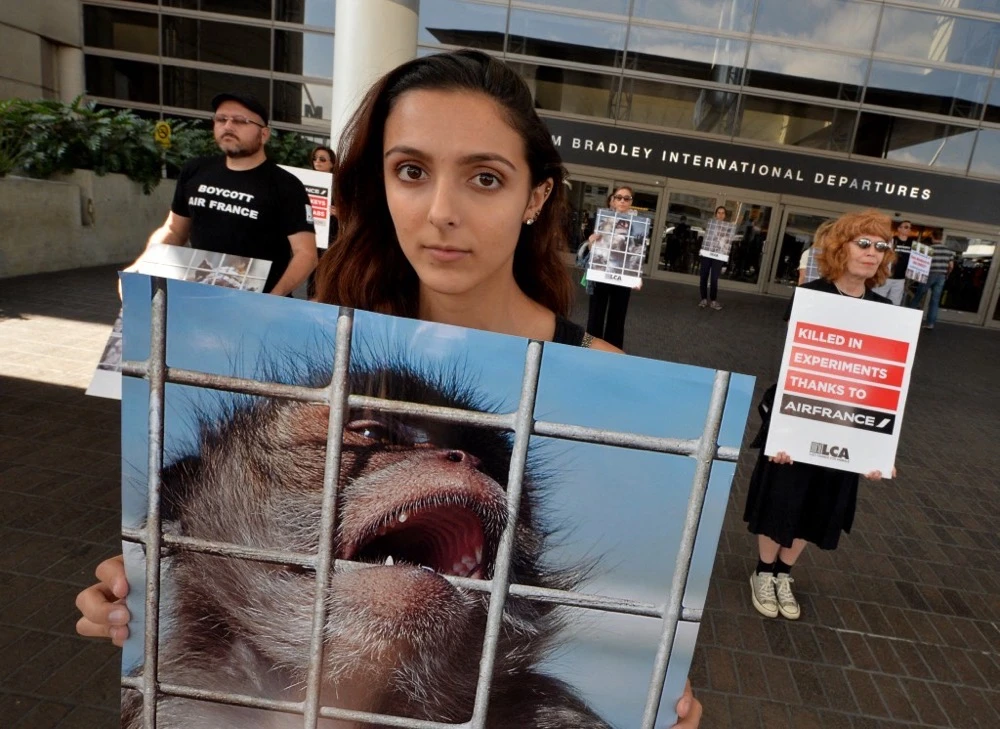 The move was welcomed by animal-advocacy groups. (AFP/File)