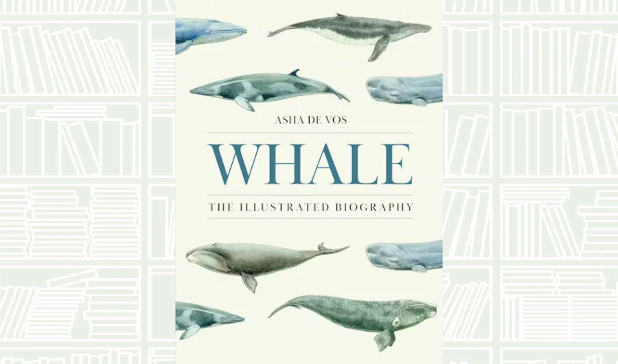 What We Are Reading Today: ‘Whale’ by Asha De Vos