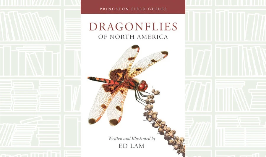 What We Are Reading Today: ‘Dragonflies of North America’ by Ed Lam