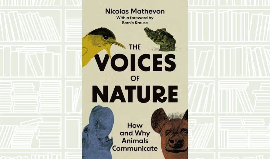 What We Are Reading Today: ‘The Voices of Nature’ by Nicolas Mathevon