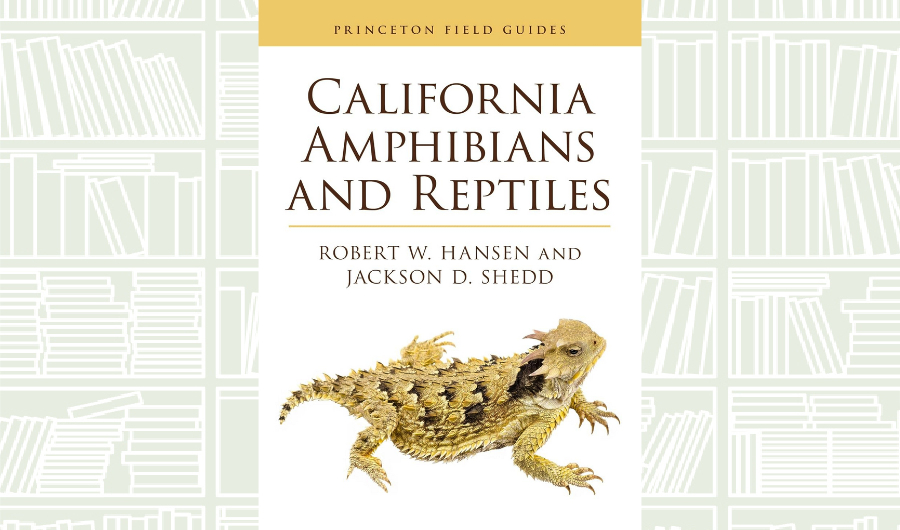 What We Are Reading Today: ‘California Amphibians and Reptiles’