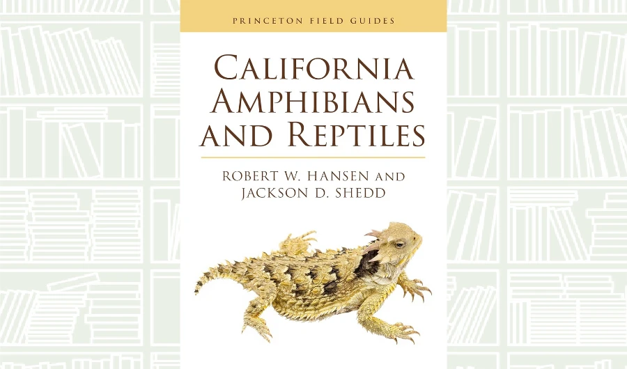 What We Are Reading Today: ‘California Amphibians and Reptiles’