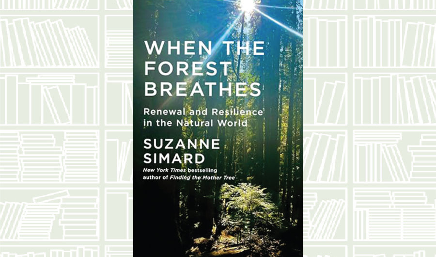 What We Are Reading Today: When the Forest Breathes by Suzanne Simard