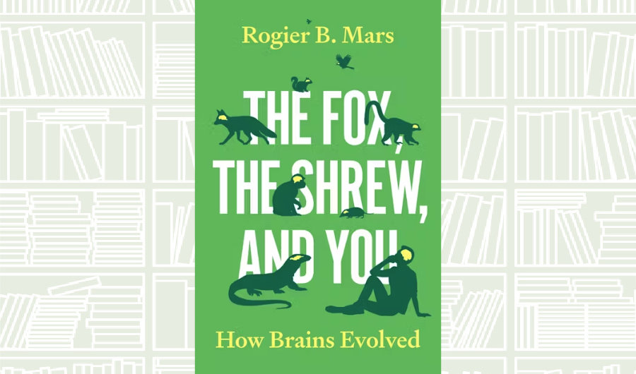 What We Are Reading Today: The Fox, the Shrew, and You by Rogier B. Mars