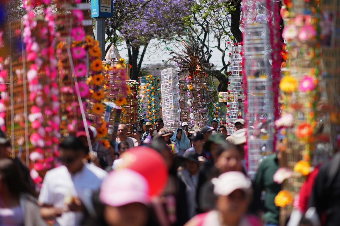 People walk with decorated bird cages during an annual pilgrimage of bird vendors to the Basilica of Guadalupe in Mexico City. (AP)