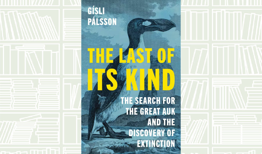 What We Are Reading Today: ‘The Last of Its Kind: The Search for the Great Auk and the Discovery of Extinction’