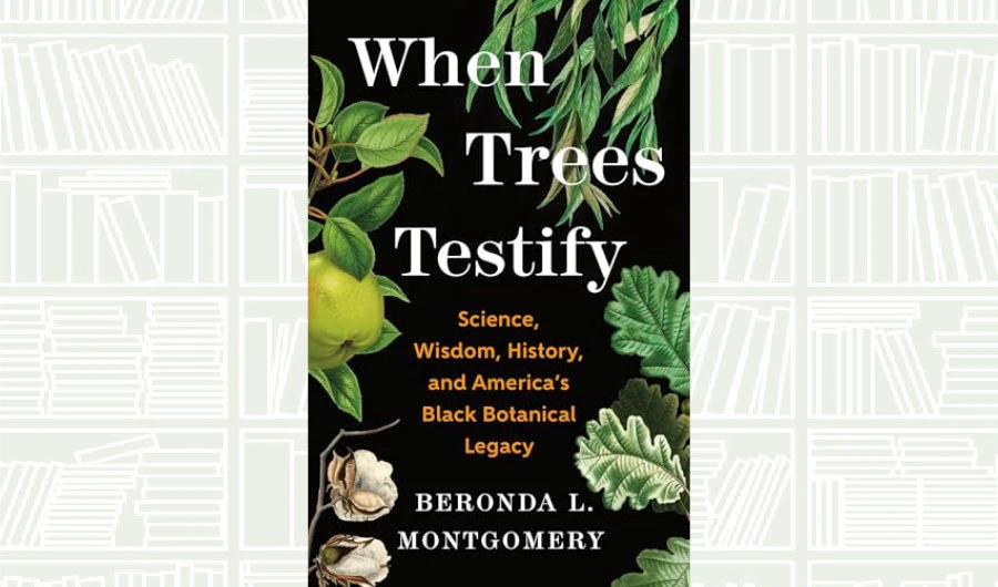 What We Are Reading Today: When Trees Testify by Beronda L. Montgomery