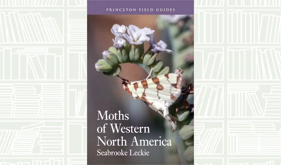 What We Are Reading Today: ‘Moths of Western North America’ by Seabrooke Leckie