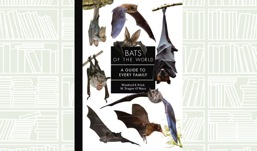 What We Are Reading Today: ‘Bats of the World’