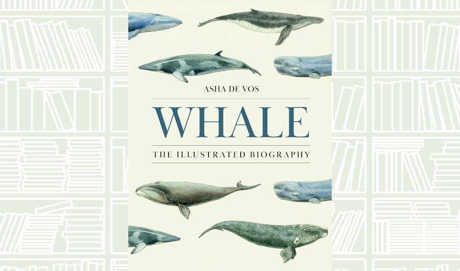 What We Are Reading Today: ‘Whale: The Illustrated Biography’ by Asha de Vos