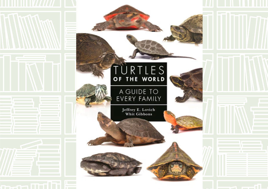 What We Are Reading Today: ‘Turtles of the World’