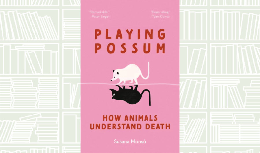 What We Are Reading Today: Playing Possum by Susana Monsó