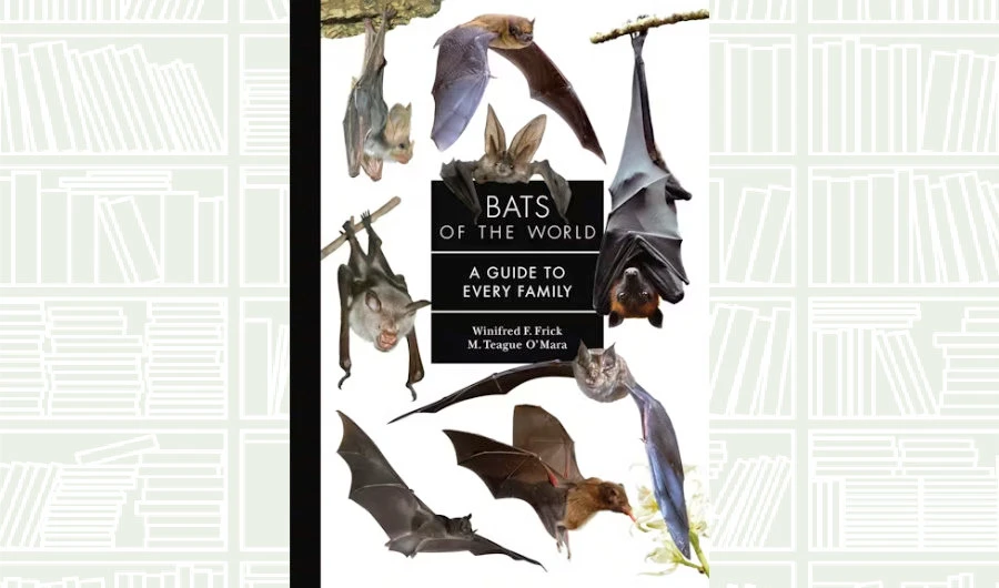 What We Are Reading Today: ‘Bats of the World’