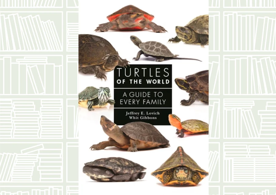What We Are Reading Today: ‘Turtles of the World’