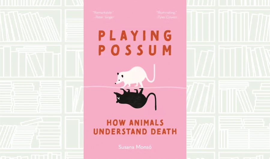 What We Are Reading Today: Playing Possum by Susana Monsó