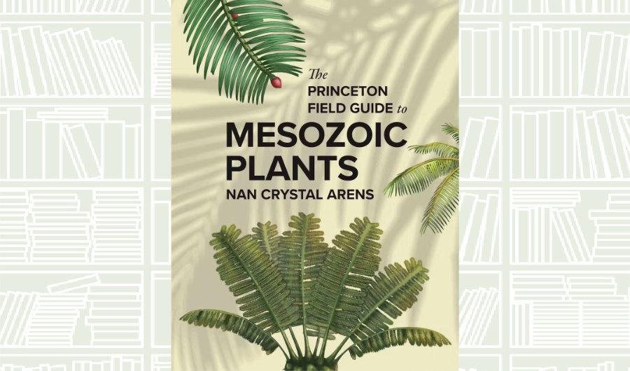 What We Are Reading Today: Mesozoic Plants by Sante Mazzei