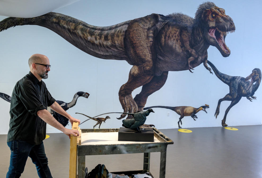 A model of the small dinosaur Microraptor being put on display at the American Museum of Natural History in New York, seen in this photograph released on Aug. 5, 2026. (Reuters)